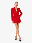 Exquisite Deep Red Double-Breasted Velvet Blazer Mini Dress