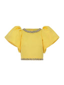 Beautiful Embellished Satin Crop Top