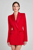 Exquisite Deep Red Double-Breasted Velvet Blazer Mini Dress