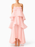 Elegant 3D Floral Applique Tiered Gown Maxi Dress