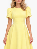 Elegant High-neck Bud Sleeve Midi Dress