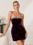 Elegant Velvet Jewel Embellished Trim Bandeau Mini Dress