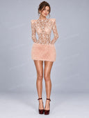 Elegant Lace Faux Fur Long Sleeve Mini Dress