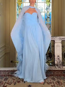 Chiffon Feather‑Trim Cape Evening Maxi Dress